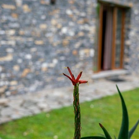 Collina E Mare Villa Камогли Екстериор снимка