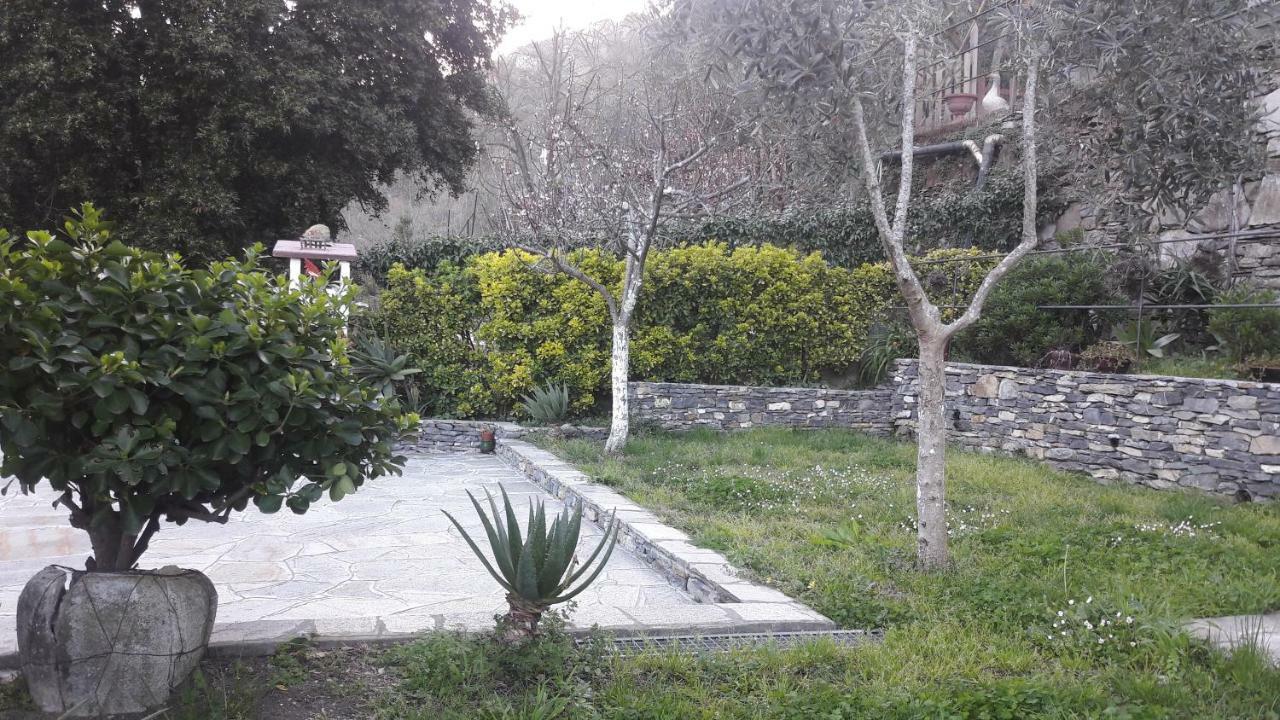 Collina E Mare Villa Камогли Екстериор снимка